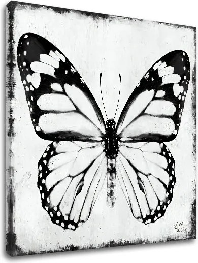 Obraz na plátne MOTÝĽ