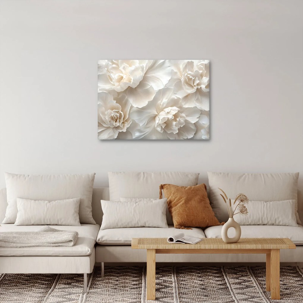 Obraz - Jemné pivonky (70x50 cm)