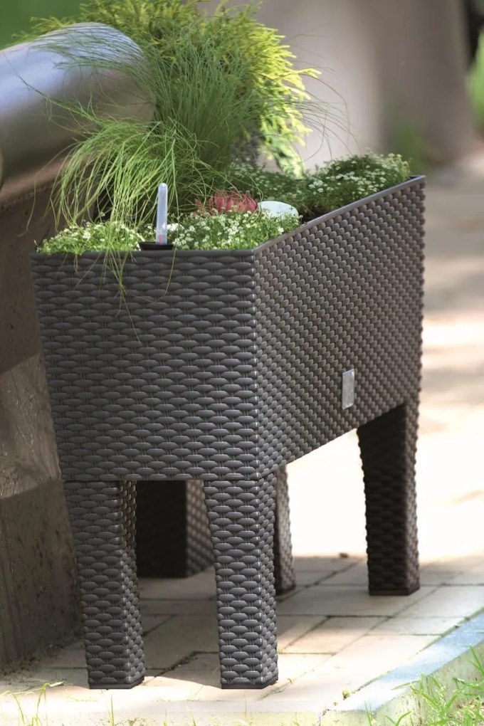 Truhlík RATAN CASE HIGH tmavohnedý