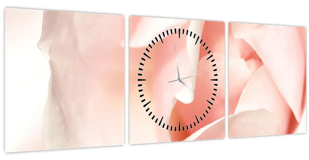 Obraz - Ruže (s hodinami) (90x30 cm)