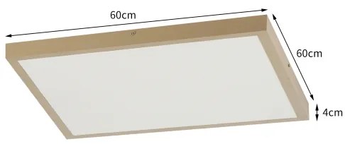 Brilagi - LED stmievateľné kúpeľňové svietidlo FRAME SMART LED/50W/230V 60x60 IP44 + DO