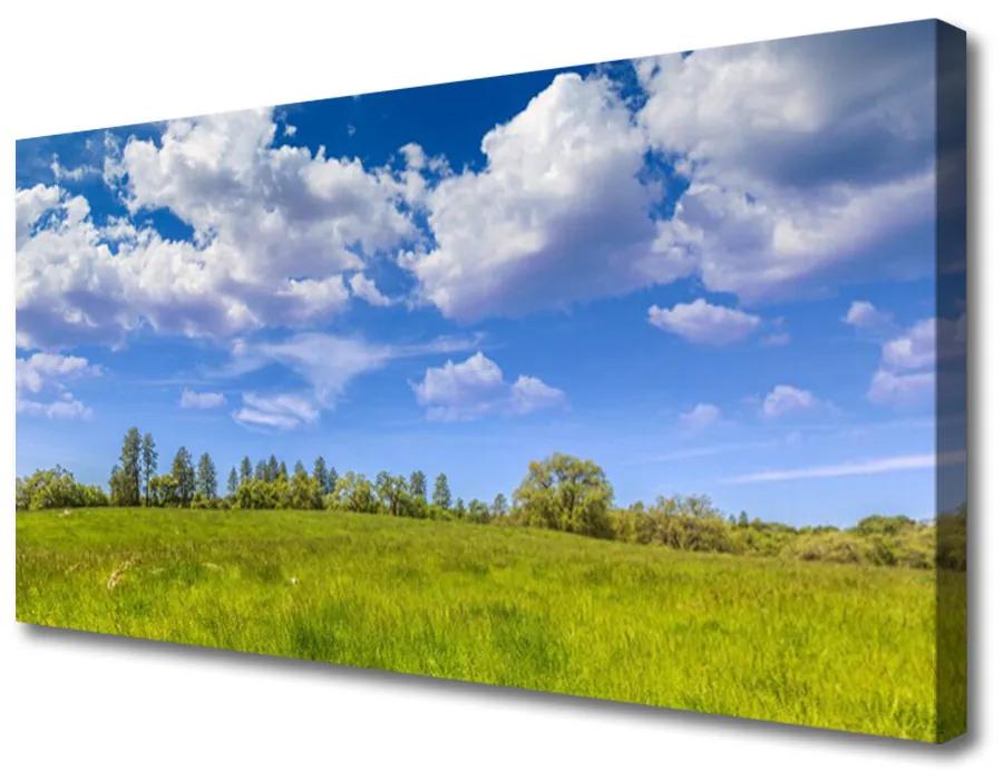 Obraz Canvas Lúka tráva nebo krajina 140x70cm