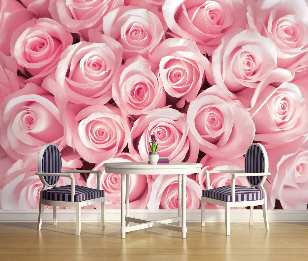 Fototapeta - Ružové ruže (152,5x104 cm)