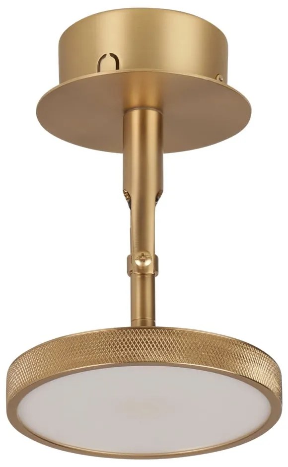 LED bodové svietidlo v zlatej farbe ø 12 cm Asteria Spot – UMAGE