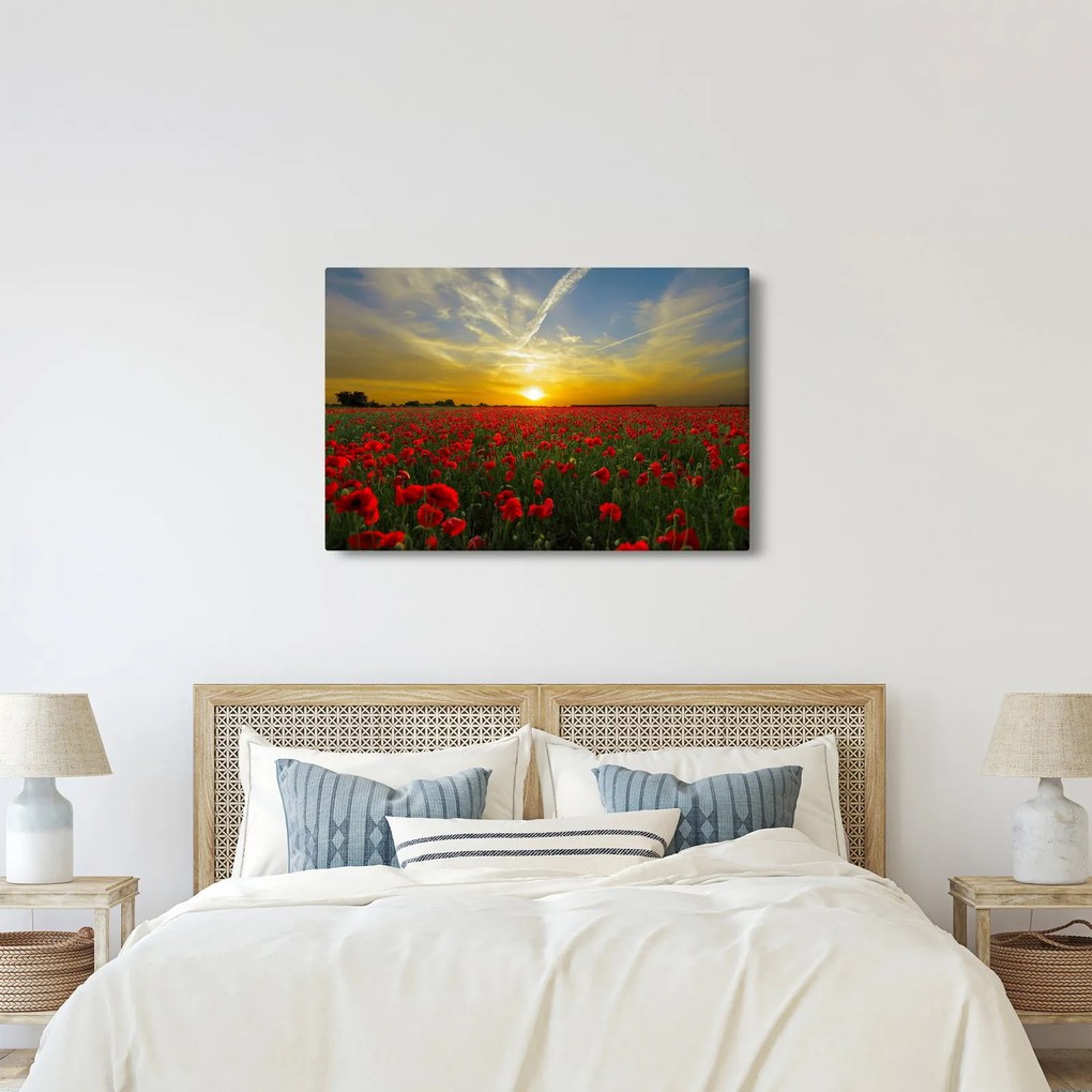 braz poľa vlčích makov (90x60 cm)