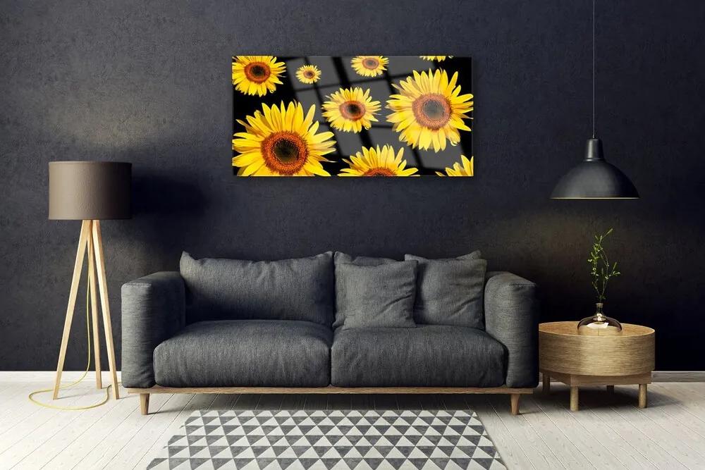 Skleneny obraz Slnečnica rastlina príroda 120x60 cm