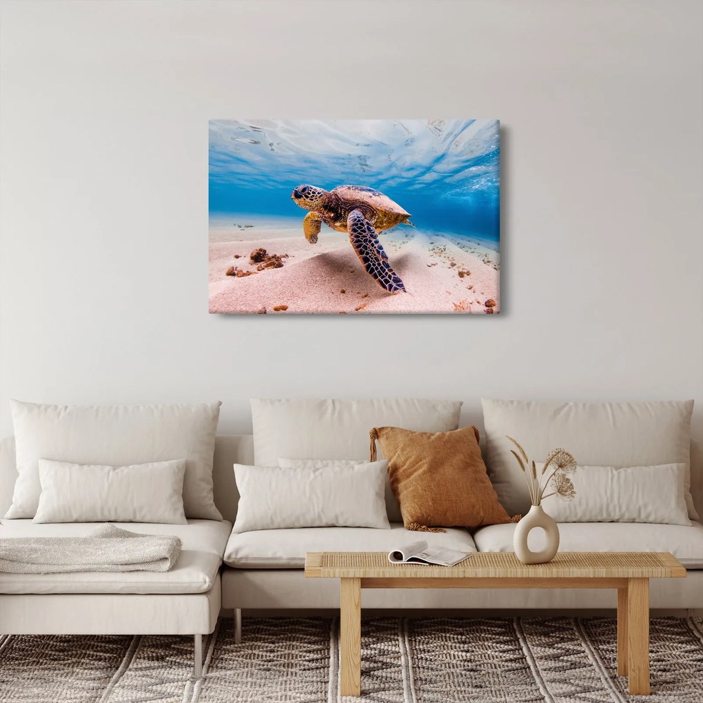 Obraz korytnačky v oceáne (90x60 cm)