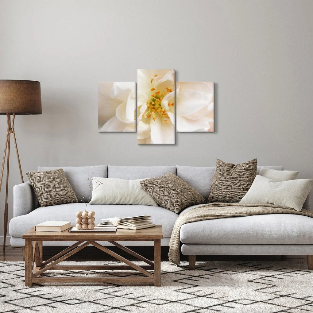 Obraz - Kvet (90x60 cm)