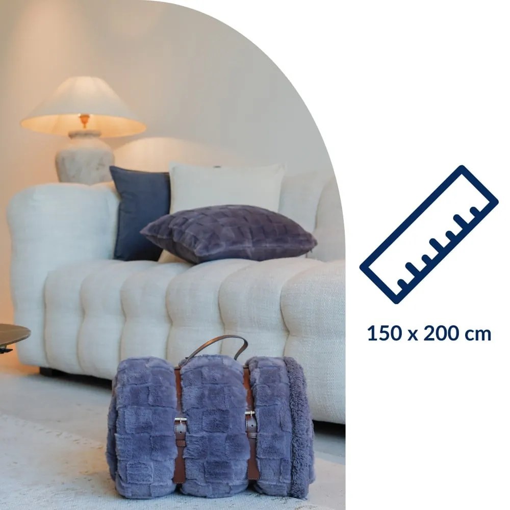 Sivá deka z mikroplyšu 150x200 cm Rava – Tiseco Home Studio