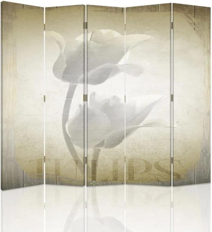 CARO Paraván - White Tulips | päťdielny | obojstranný 180x150 cm