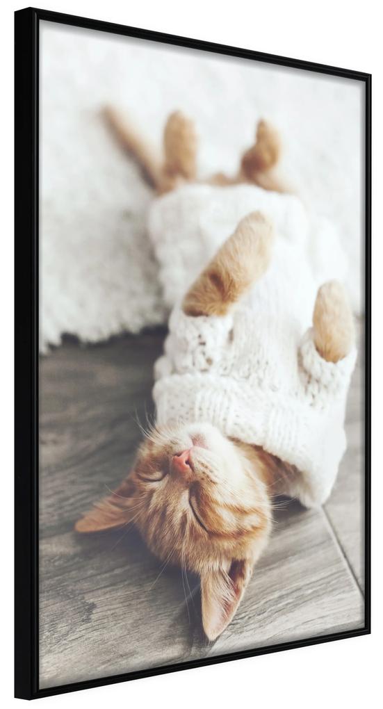 Artgeist Plagát - Lazy Cat [Poster] Veľkosť: 20x30, Verzia: Zlatý rám s passe-partout
