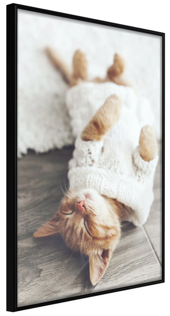 Artgeist Plagát - Lazy Cat [Poster] Veľkosť: 30x45, Verzia: Zlatý rám