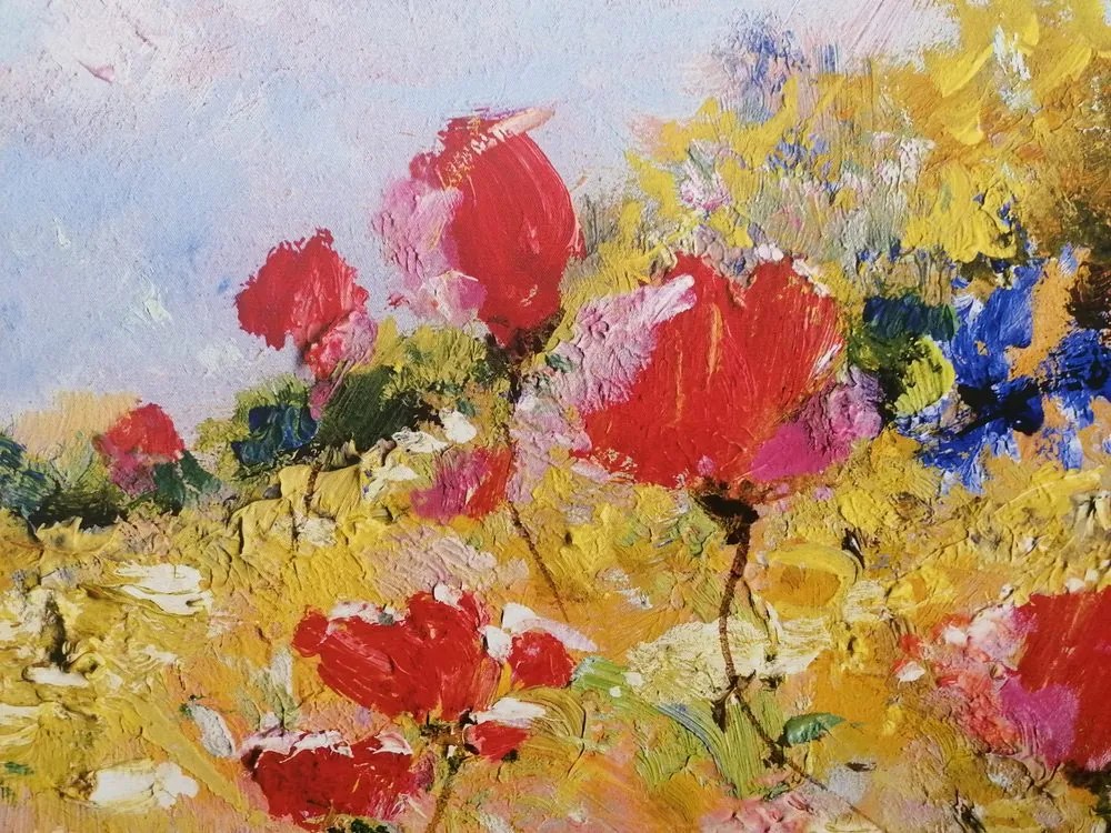 Obraz divé maky na lúke