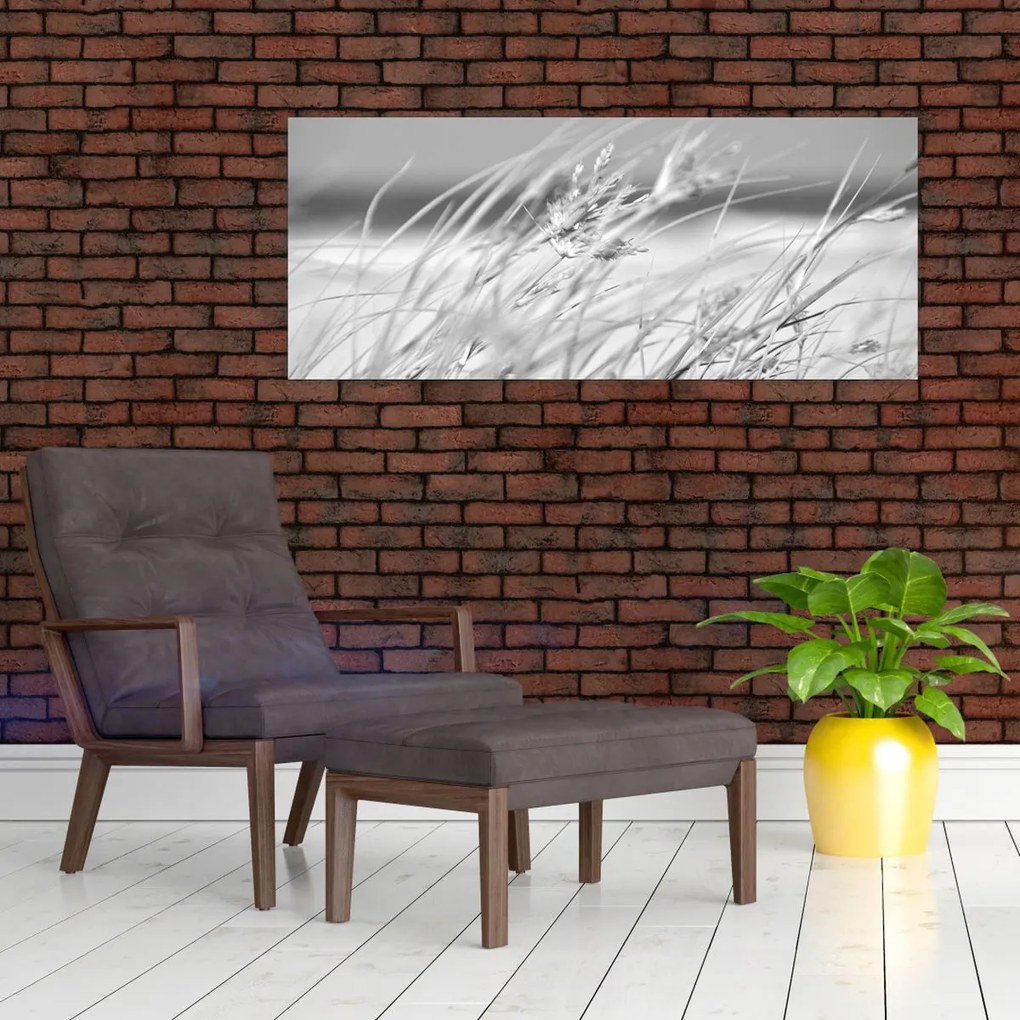 Obraz - Plážová tráva (120x50 cm)
