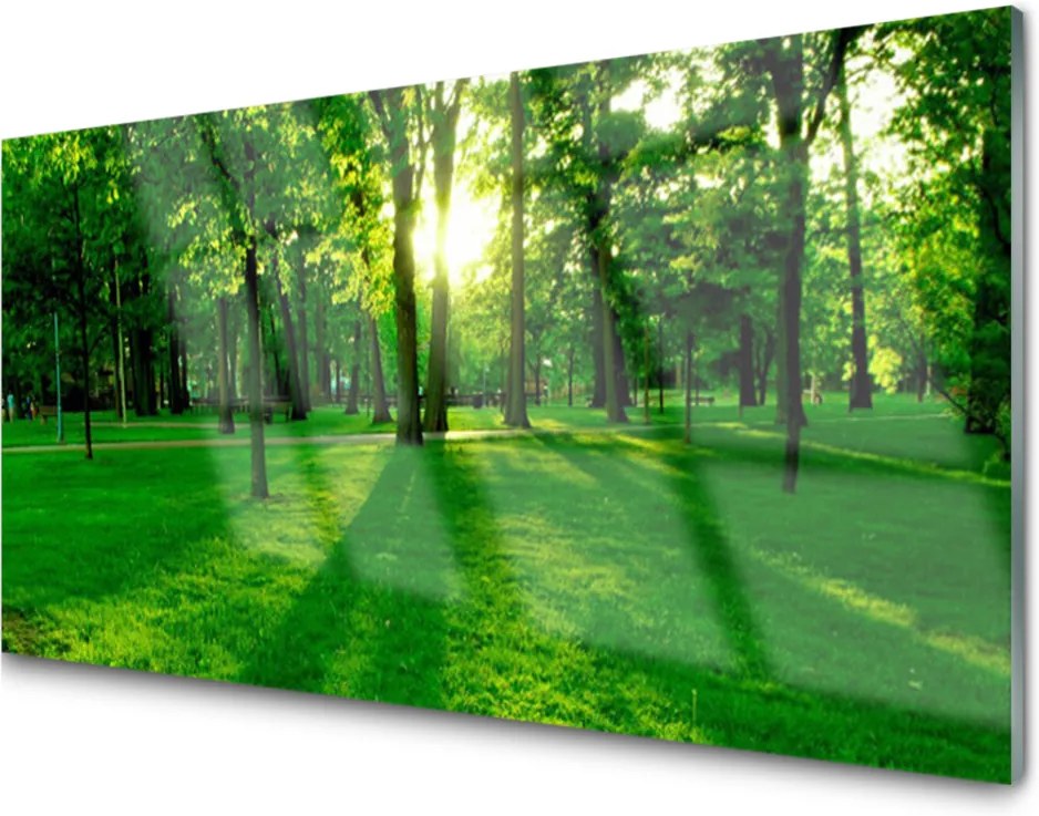 Obraz na akrylátovom skle Sklenený Les Príroda