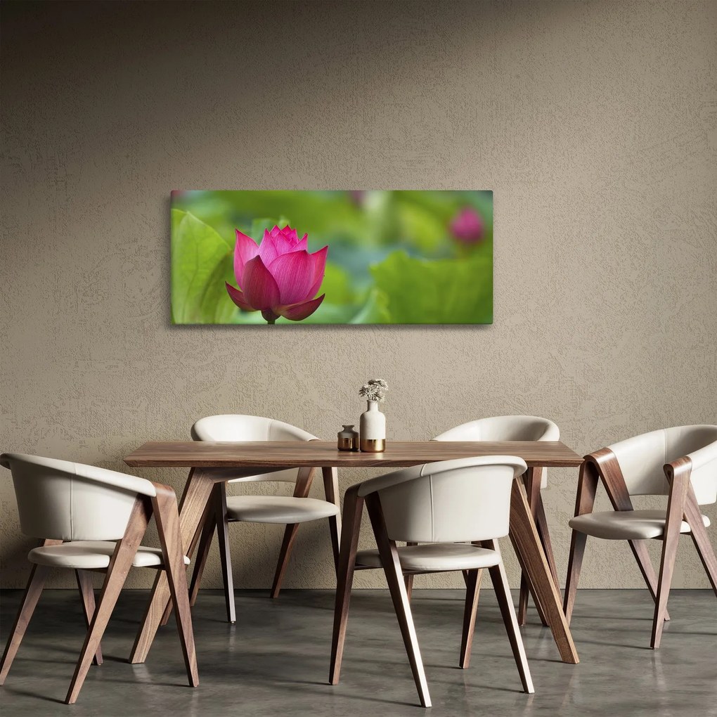 Obraz - vodná rastlina (120x50 cm)
