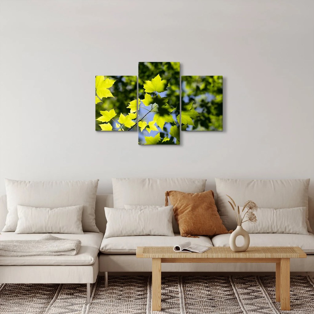 Obraz - javorové listy (90x60 cm)