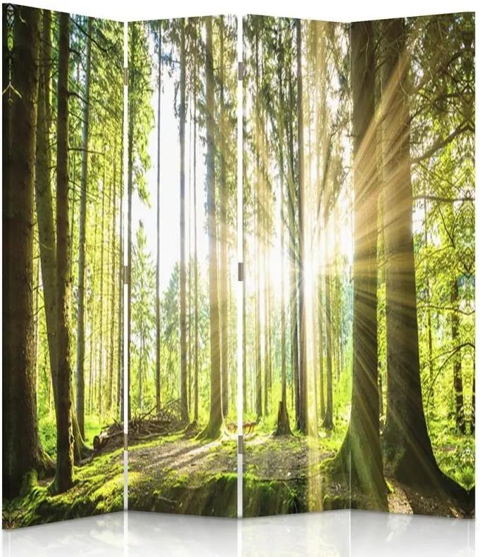 CARO Paraván - Sun In The Forest | štvordielny | obojstranný 145x180 cm