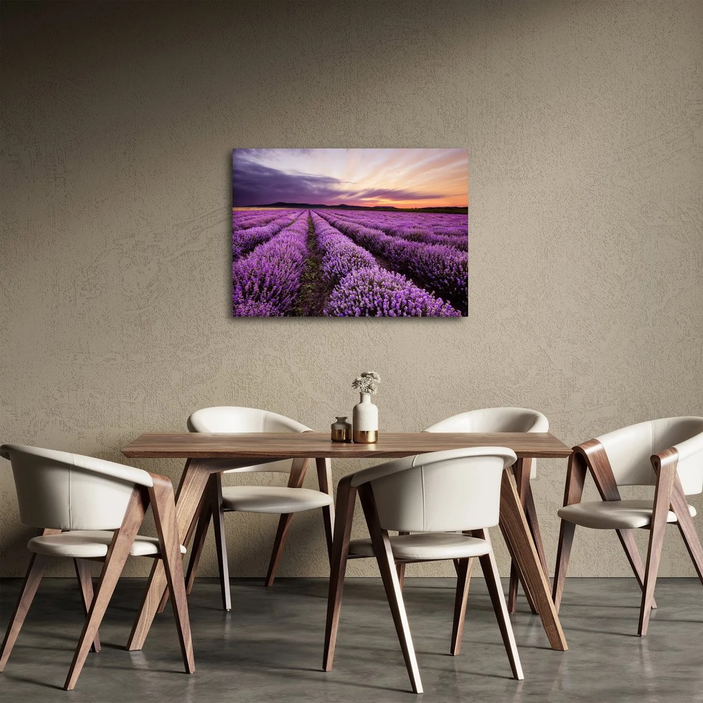 Obraz - Levanduľové pole pri západe slnka (70x50 cm)