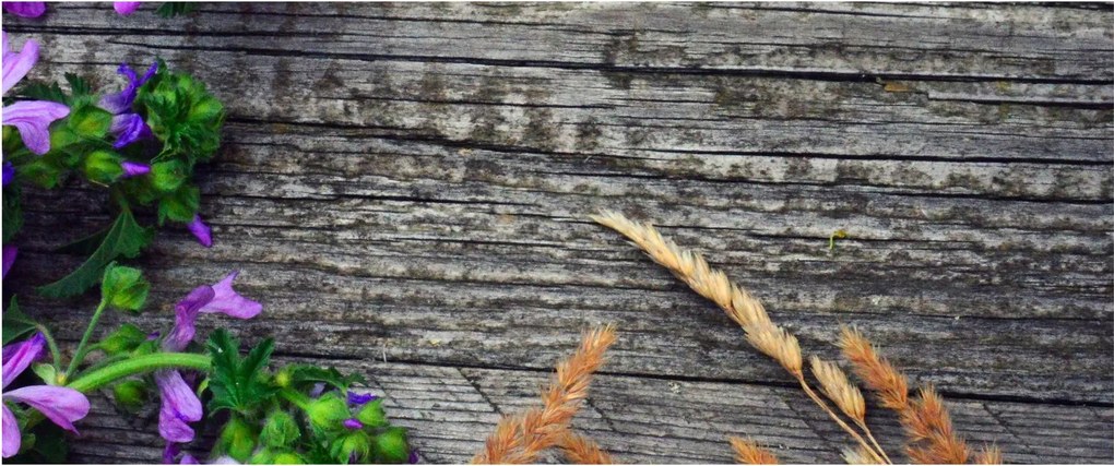 Obraz - lúčne kvety (120x50 cm)