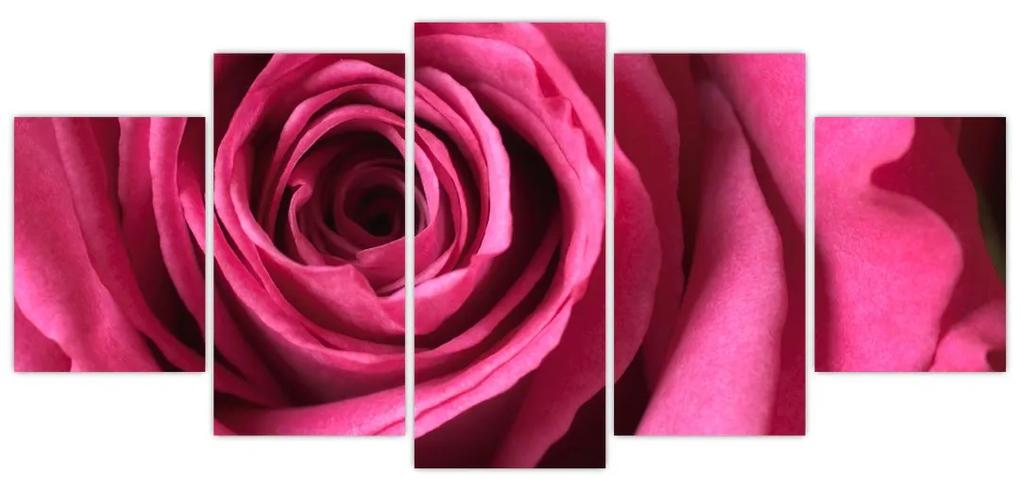Obraz ružové ruže
