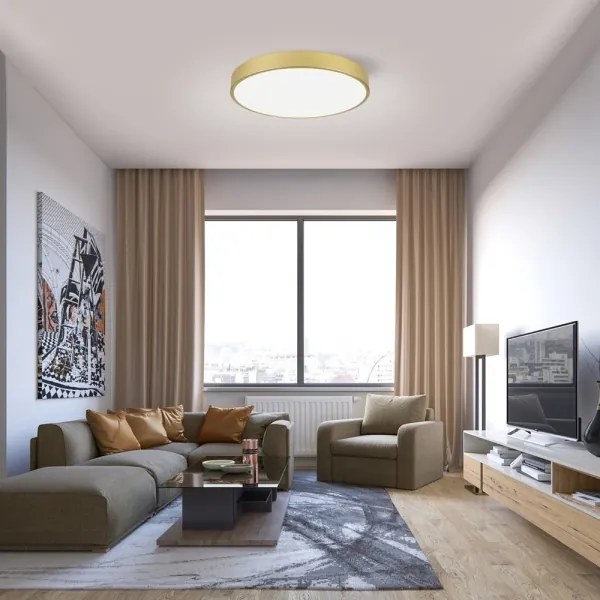 Immax NEO 07293L - LED+CCT stmievateľné stropné svietidlo SEMPLICI 60W/230V, priemer 60 cm + diaľkový ovládač