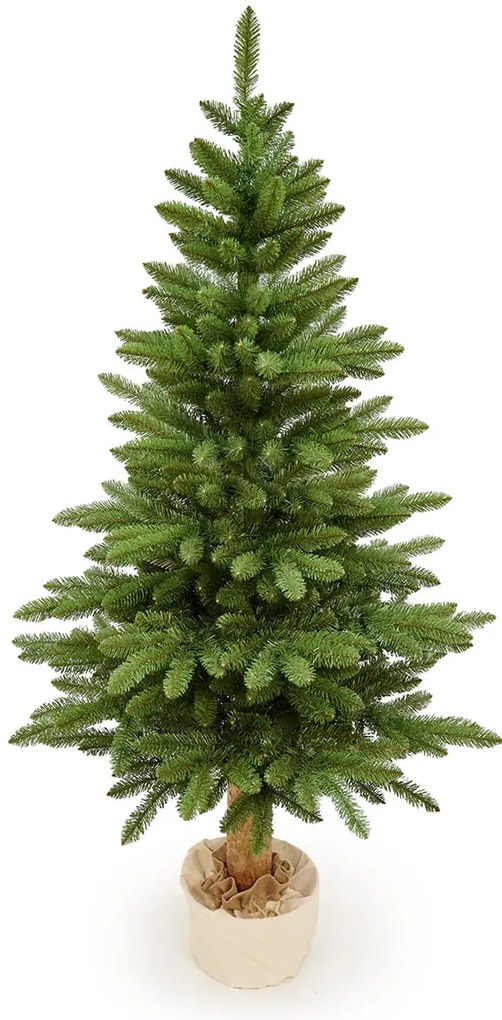 Jedľa Karpatská na pni 190cm
