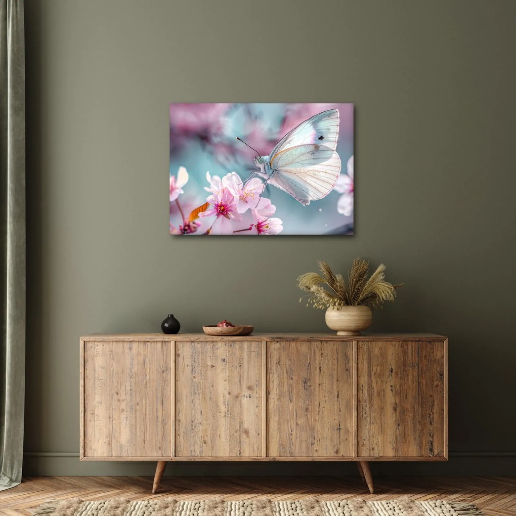 Obraz - Motýľ na čerešni (70x50 cm)