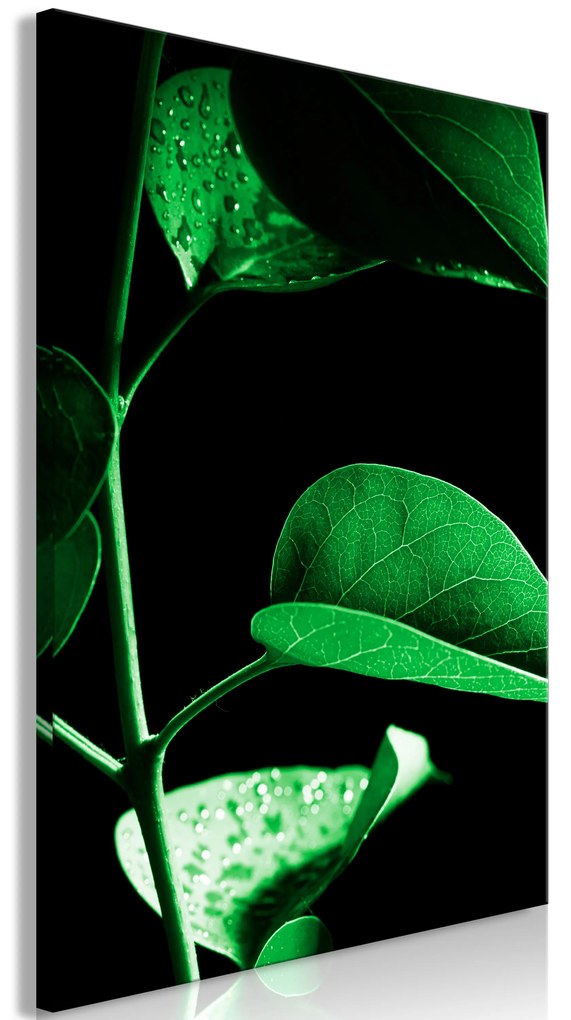 Artgeist Obraz - Plant in Black (1 Part) Vertical Veľkosť: 80x120, Verzia: Premium Print