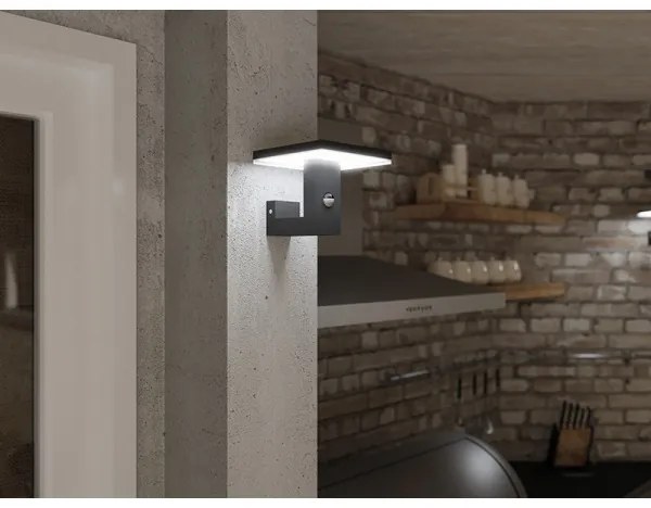 LED Vonkajšie nástenné svietidlo so senzorom BARI LED/10W/230V 4000K IP54 antracit