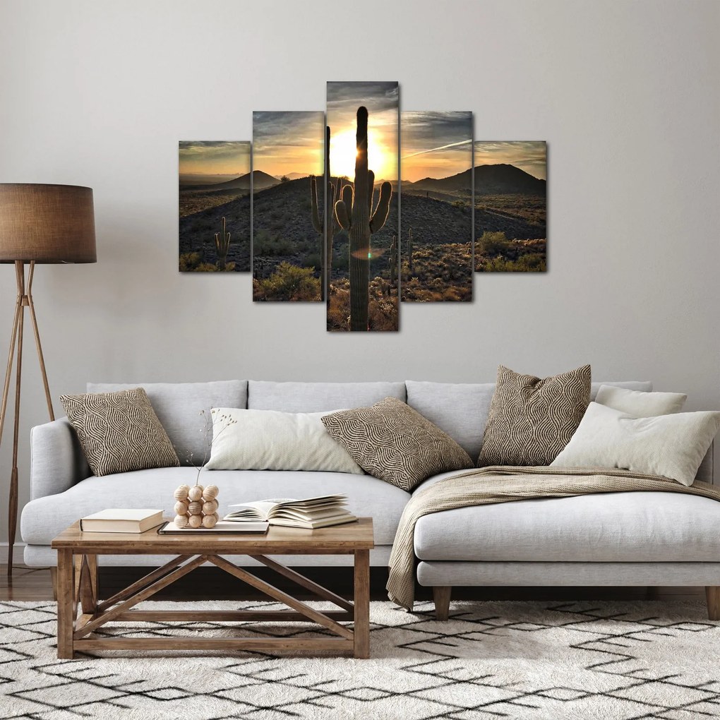 Obraz - kaktusy v slnku (150x105 cm)
