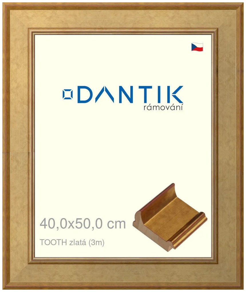 DANTIK rám na obraz 40x50 | TOOTH zlatá (Sklo Čiré)