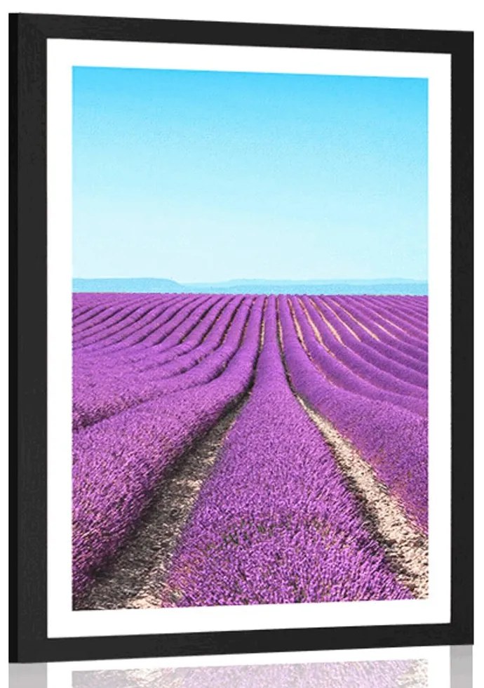 Plagát s paspartou nekonečné levanduľové pole - 40x60 black