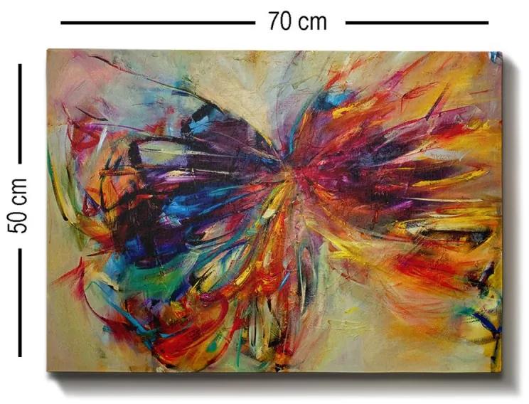Obraz Motýľ 70x50 cm viacfarebný