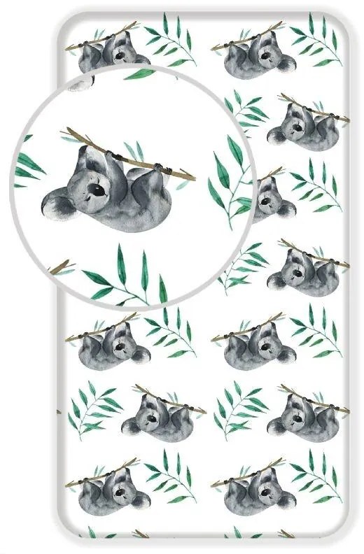 JERRY FABRICS Plachta Koala  Bavlna, 90/200 cm