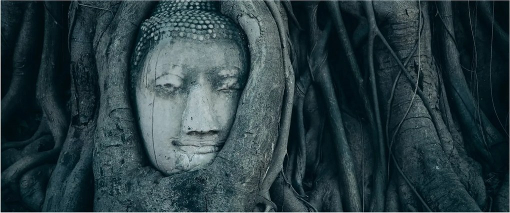 Obraz - Thajská tvár (120x50 cm)