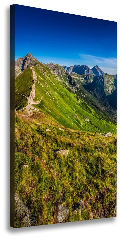 Vertikálny foto obraz tlačený na plátne Tatry ocv-99701533
