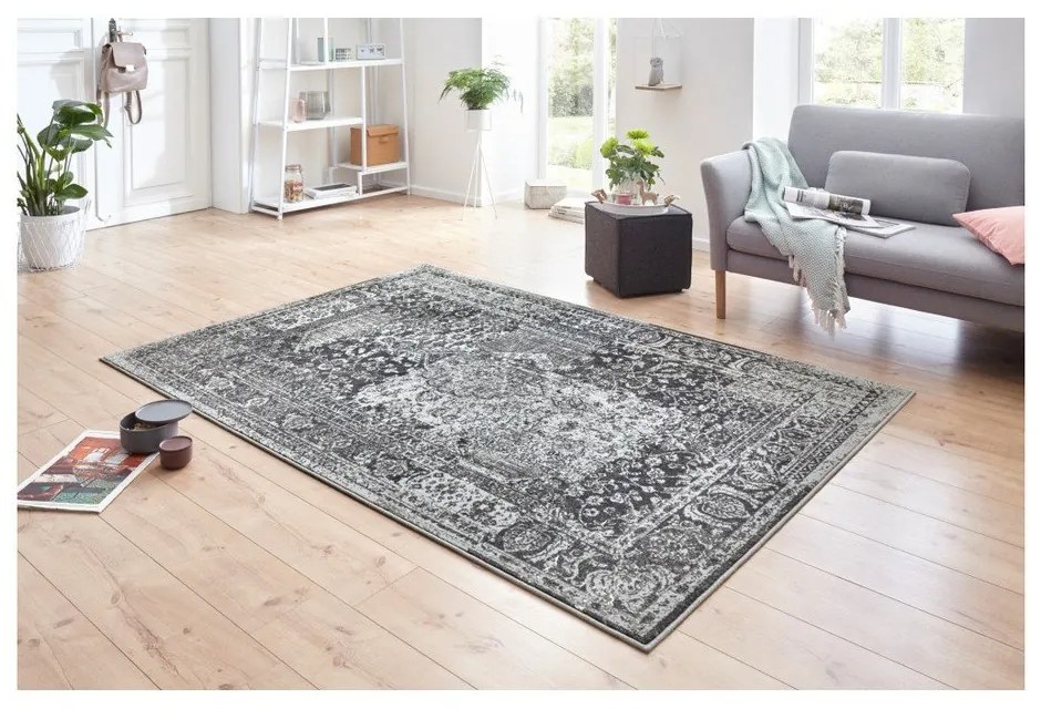 Sivý koberec Hanse Home Celebration Plume, 160 x 230 cm