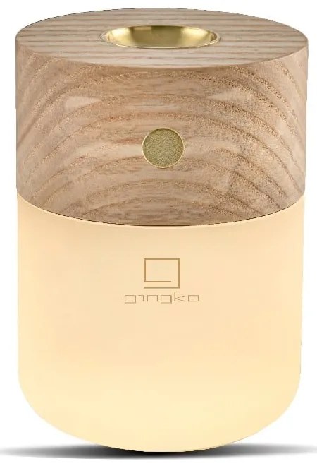 Elektrický difuzér Smart – Gingko