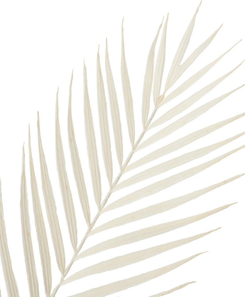 Dekoratívna vetvička Palmera 95 cm white