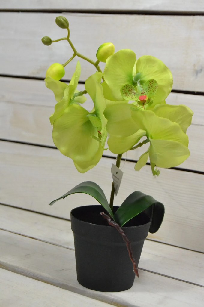 Umelá orchidea v črepníku - zelená (V:30cm) 105