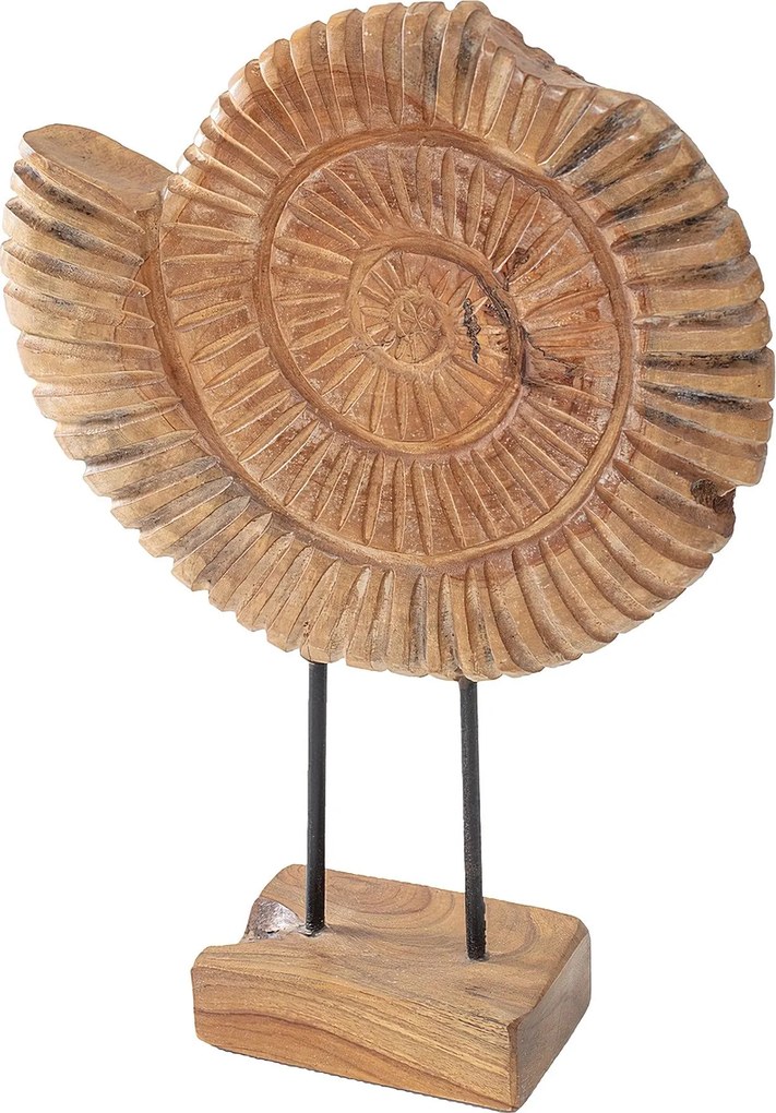 Dekoracja Fossil
