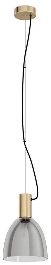 Eglo 99313 - Závesný luster na lanku LEBALIO 1xE27/40W/230V