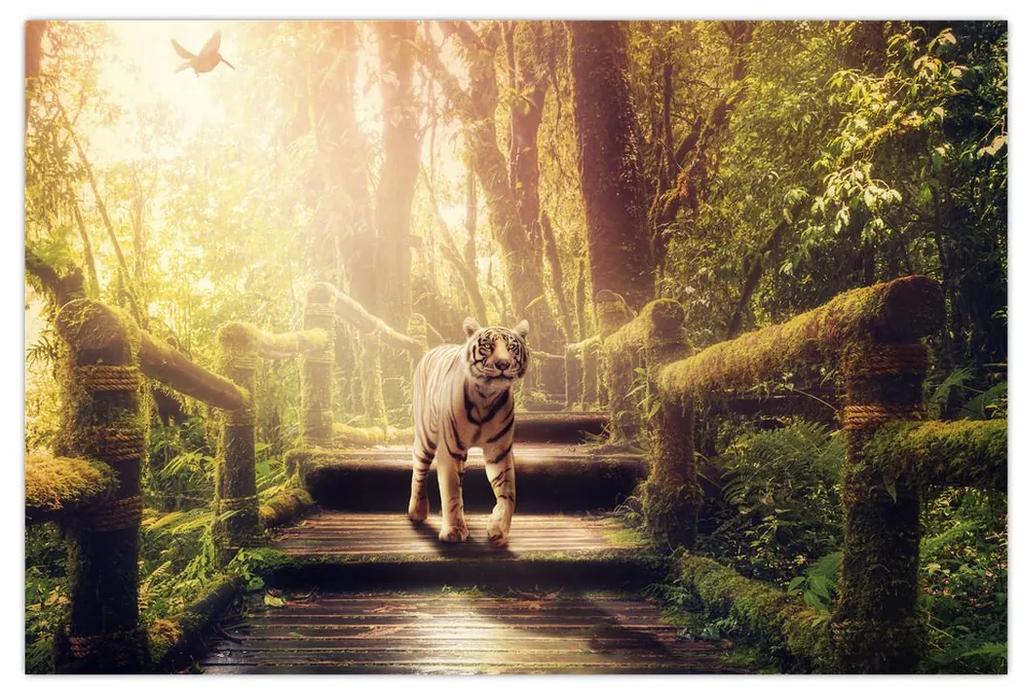 Obraz tigra v džungli (90x60 cm)