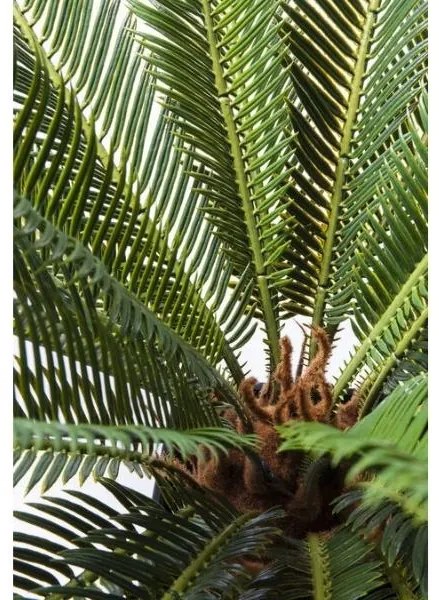 Cycas Tree umelá rastlina zelená 78 cm