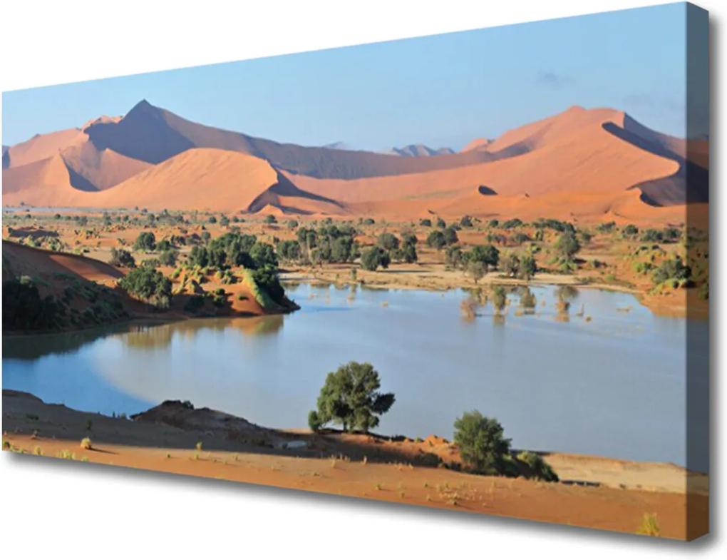 Obraz Canvas Jazero Púšť Krajina
