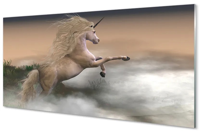 Sklenený obraz Unicorn mraky 120x60 cm