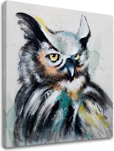 Obraz na plátne SOVA 1 dielny XOBCH1279HE1