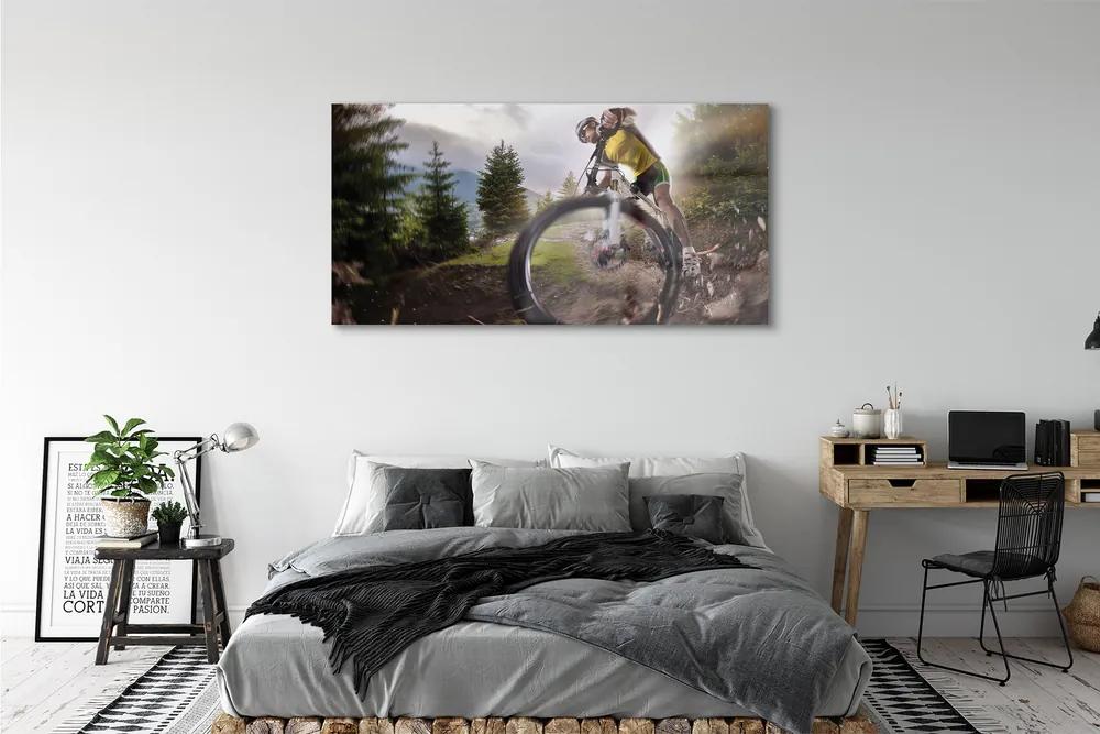 Obraz plexi Cloud na horskom bicykli 140x70 cm