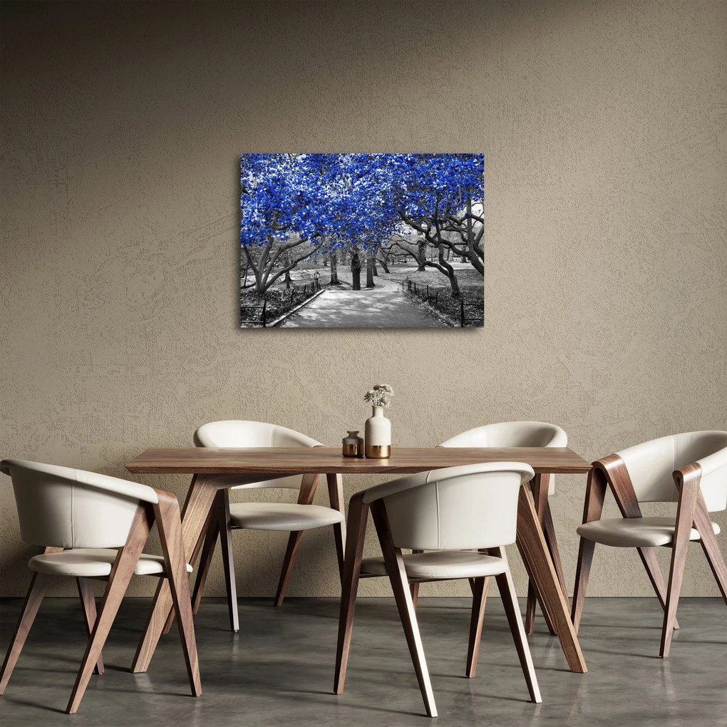 Obrázok - Modré stromy, Central Park, New York (70x50 cm)